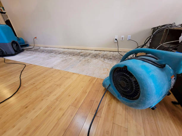 Professional Water Damage Repair technician working in Los Angeles, CA